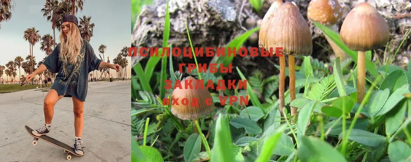 Псилоцибиновые грибы MAGIC MUSHROOMS  Волгореченск 